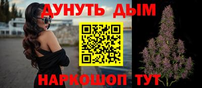 шишки Будённовск