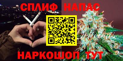 шишки Будённовск