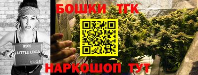 шишки Будённовск