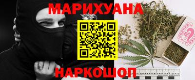 шишки Будённовск