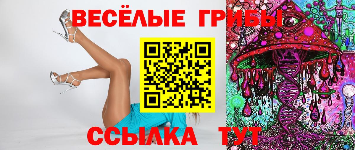 Галлюциногенные грибы Psilocybine cubensis Черногорск