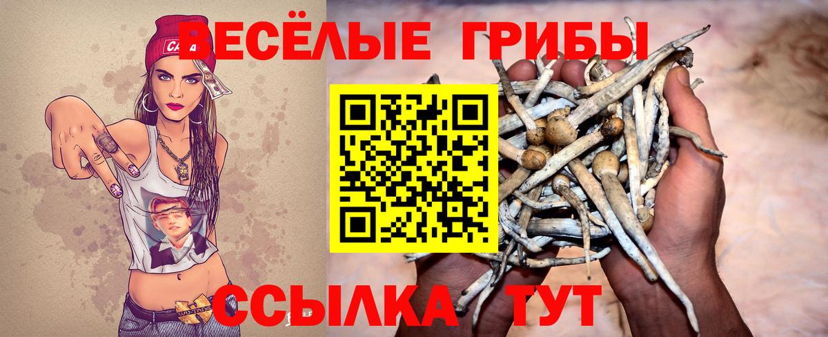 Черногорск  Галлюциногенные грибы MAGIC MUSHROOMS  Вход с VPN 