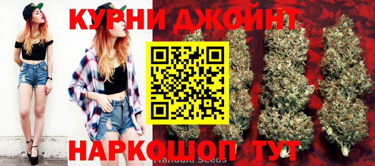Каннабис OG Kush Черногорск